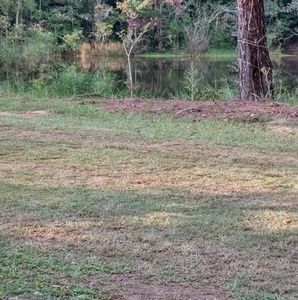 Meet your Posher, Martha